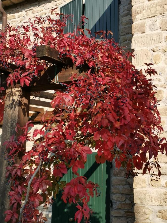 B&B Il Sogno Dovadola Bagian luar foto